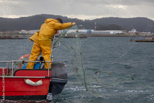 Quadro em tela An inshore sailor fishing spider crab in the Arousa estuary, Pontevedra