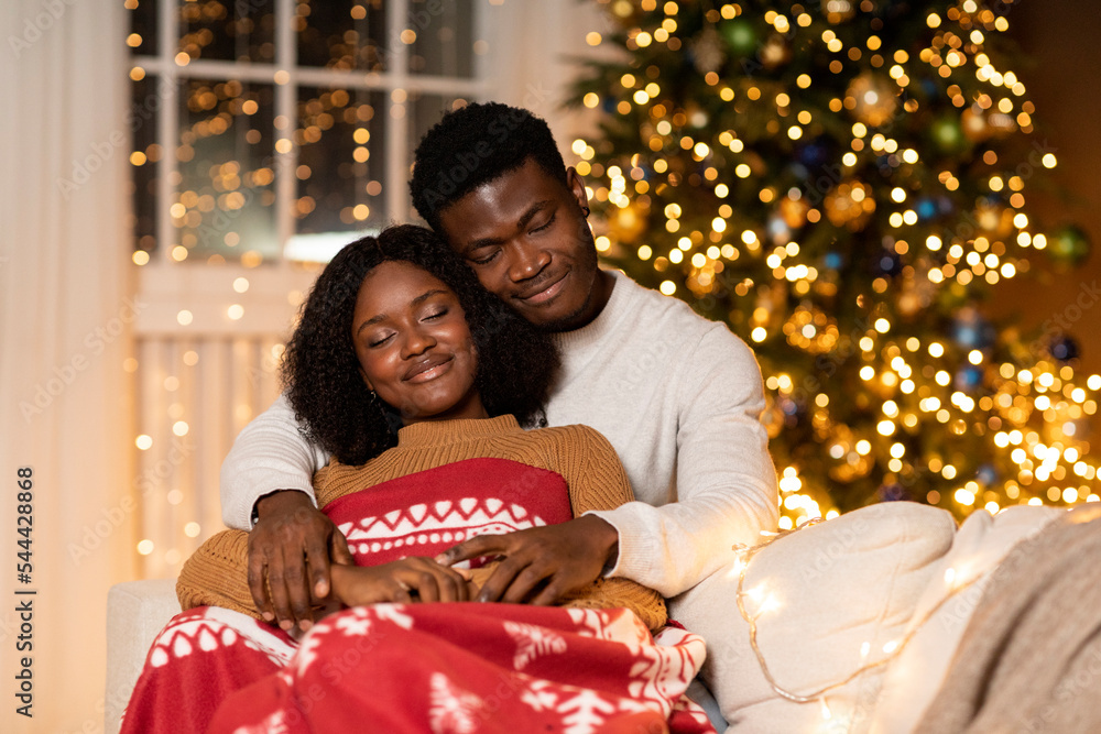 Happy millennial black man hugging woman with plaid enjoy holiday, sleep together in living room interior Happy millennial black man hugging woman with plaid enjoy holiday, sleep together in living room interior