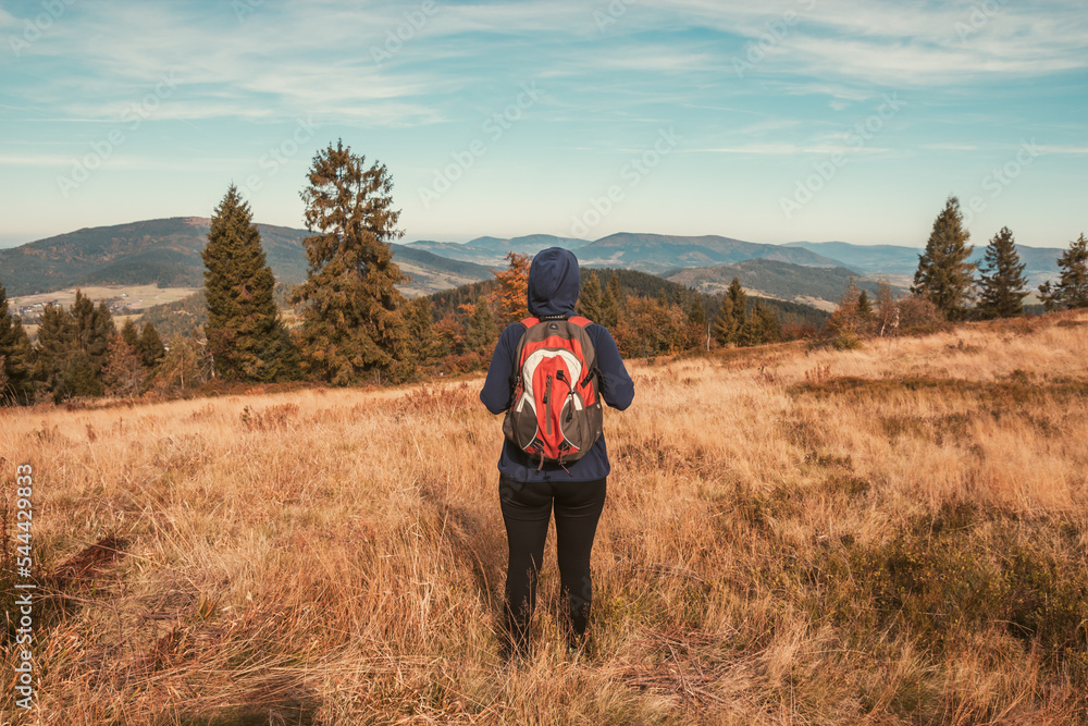 Alone girl in hood stands against a panorama of autumn mountains