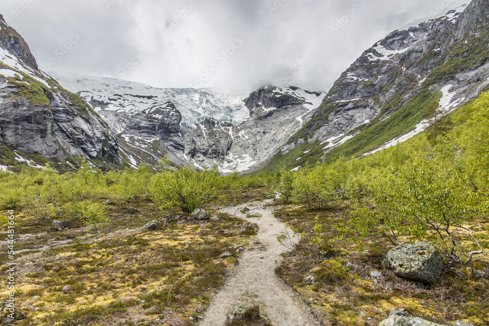 Idyllic hiking trail through the norwegian fauna to the impressive Jostedalsbreen glacier on a rainy day