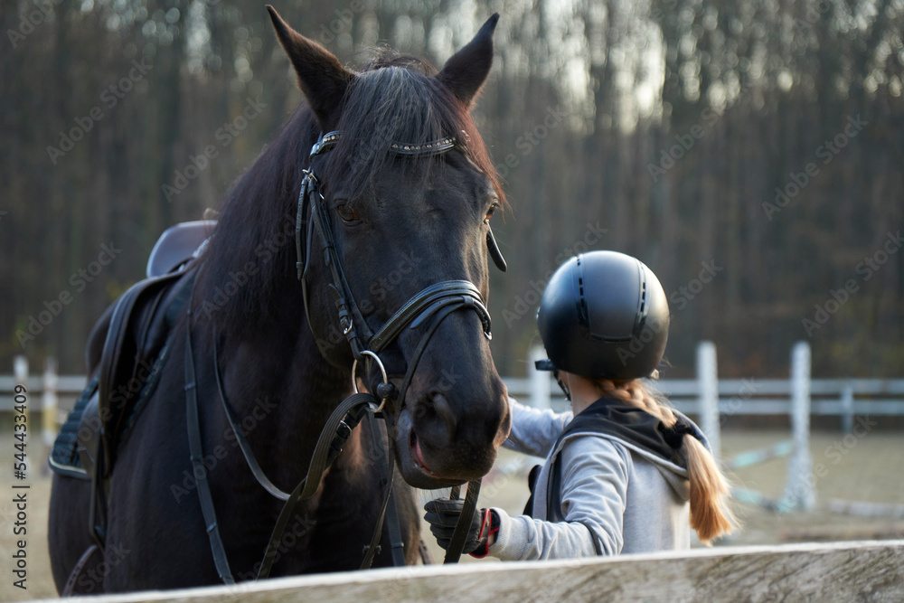 Obraz premium Young attractive girl standing near a horse in a hat. Beautiful professional female jockey standing near horse. A cute female in a hat caresses her favorite horse.