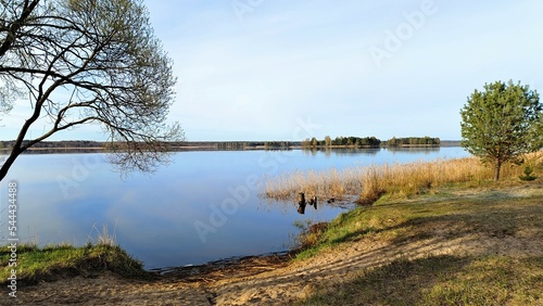 The early morning rays of the rising sun illuminate the grassy-sandy shore, the willows and pines growing on the lake shore and the forest on the far shore. The sky with clouds reflects in the watеr © Balser