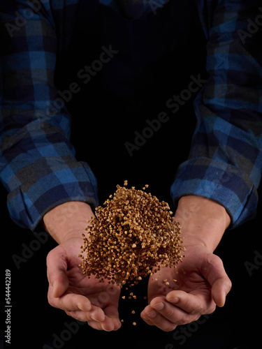 Buckwheat grains in hands on a dark background. Hands of men pour grain of buckwheat. Close-up