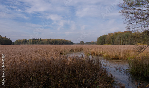 Swampy valley of Lesna River in sunny autumnal day