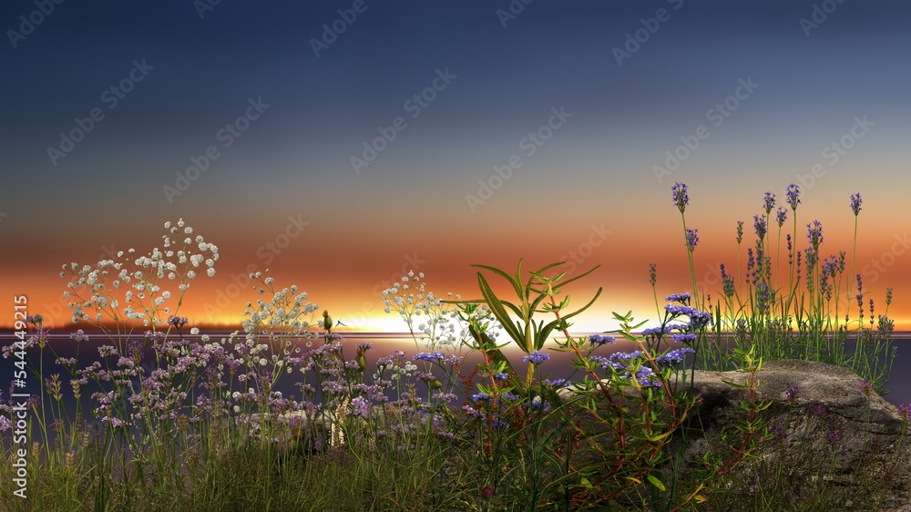 Obraz premium wild flowers , gold sunset , sea water ,starry sky and moon banner background template