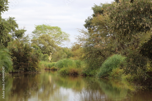 Kr  ger Park - Afrikanischer Busch - Fluss   Kruger Park - African bush - River  