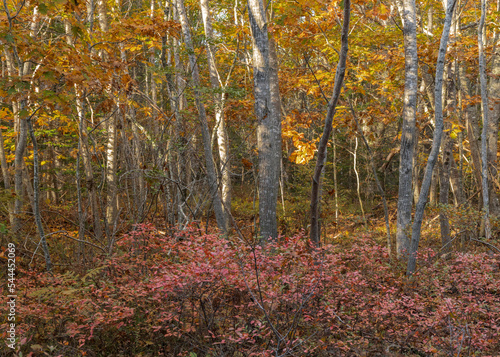 Maine-Boothbay-Barters Island