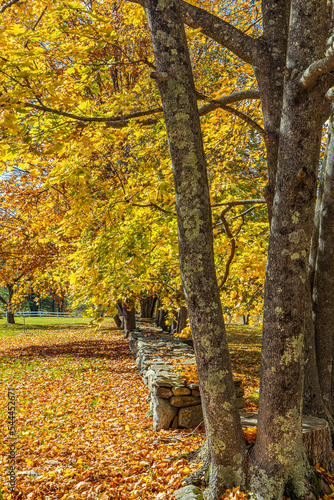 New Hampshire-Wakefield photo