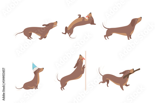 Funny Dachshund Brown Dog Character in Various Pose Vector Set