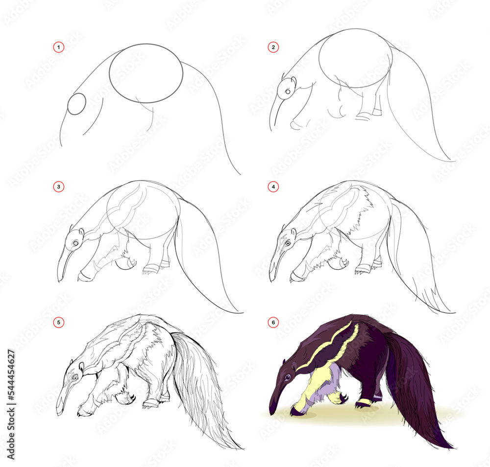 Vetor de How to learn to draw ant-eater. Educational page for children ...