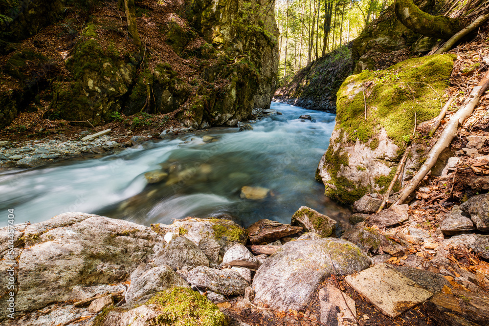 Mountain river flowing in a deep green forrest. Long exposure, water flow in motion. Vajskovsky potok, Low Tatras National Park. Mountain river flowing in a deep green forrest. Long exposure, water flow in motion. Vajskovsky potok, Low Tatras National Park.