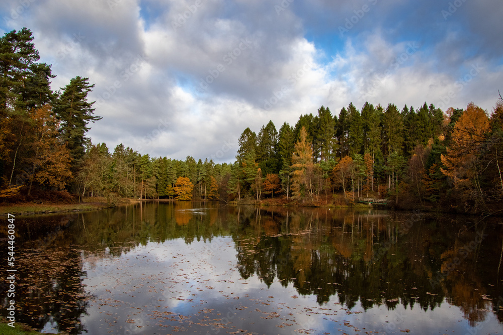 Fototapeta premium Autumn trees