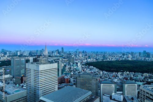 Skyscrapers towering over the cityscape of Nishi-Shinjuku, Tokyo, Japan at sunset