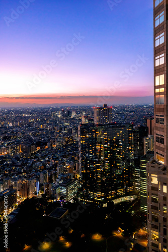 Canvas Print Skyscrapers towering over the cityscape of Nishi-Shinjuku, Tokyo, Japan at sunse