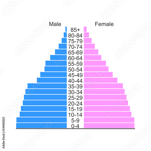 Population pyramid or age structure diagram template isolated on white background. Example of population distribution by male and female groups with different age