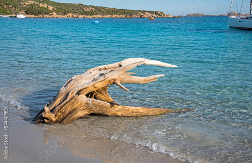 Isola Santa Maria, Arcipelago di La Maddalena, Sardegna photo