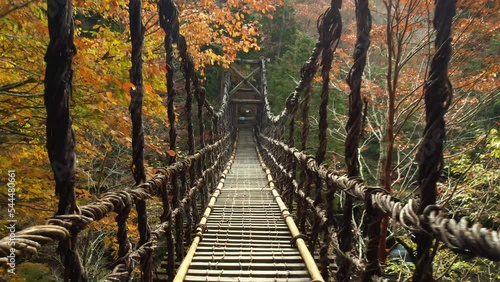 紅葉の奥祖谷二重かずら橋
