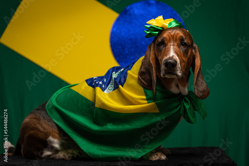 Cachorro com bandeira do Brasil para a Copa do Mundo de Futebol