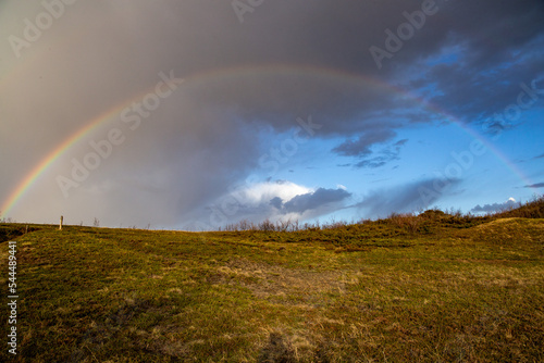 rainbow over the meadow