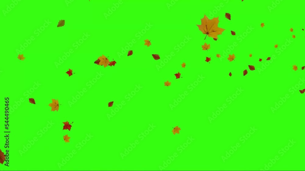 Leaves Flying on Green Screen Leaves Flying on Green Screen