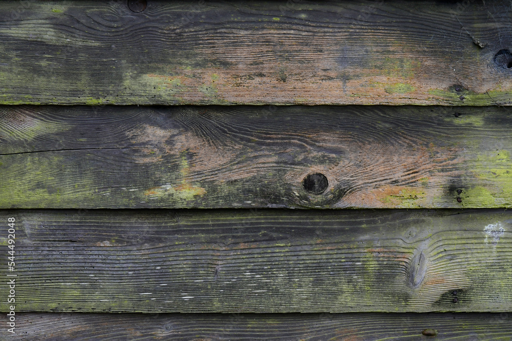An abstract image of old rotten wood with fade green paint. An abstract image of old rotten wood with fade green paint.