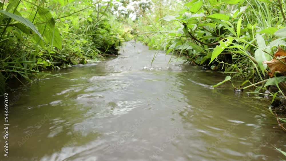 A Ditch whose stream is covered with weeds flows through the agricultural area A Ditch whose stream is covered with weeds flows through the agricultural area