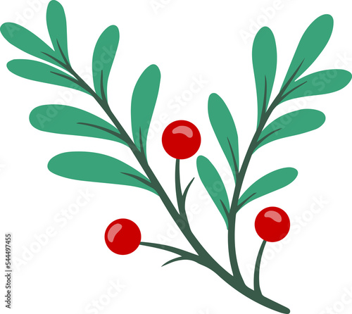 Christmas Holly Leaf Illustration