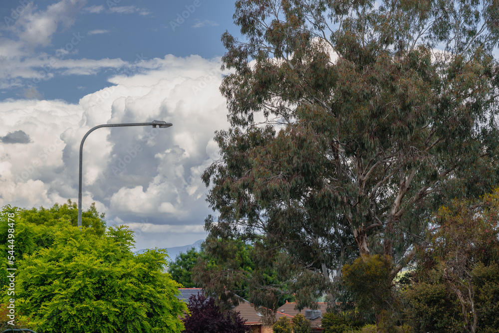 Suburban Street StockFoto Adobe Stock