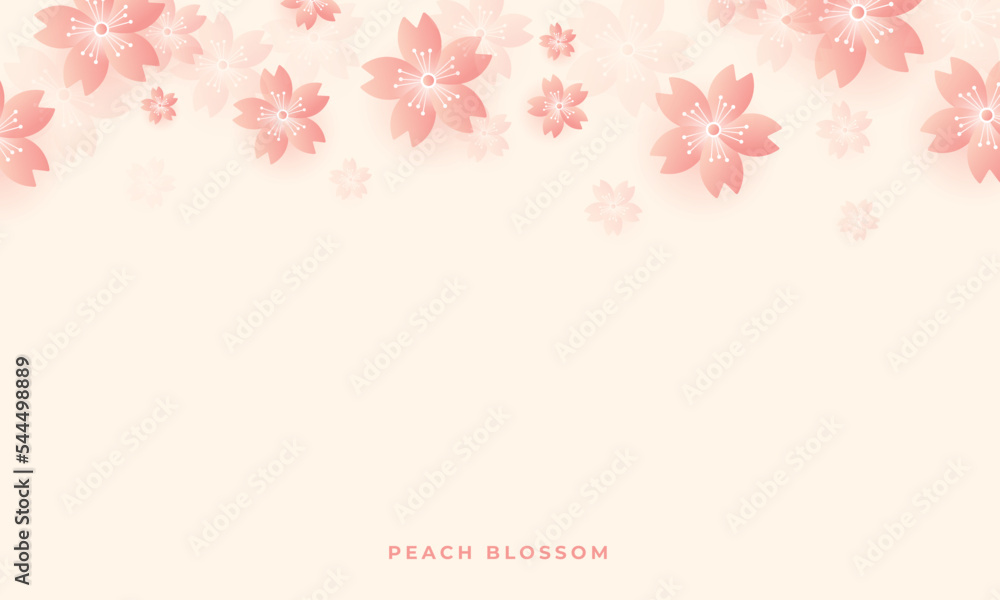 Cherry blossoms Cherry blossoms
