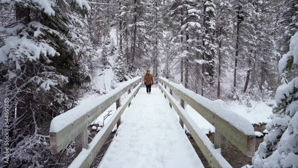A man walking away on a beautiful bridge on a winter wonderland A man walking away on a beautiful bridge on a winter wonderland