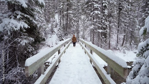 Wallpaper Mural A man walking away on a beautiful bridge on a winter wonderland  Torontodigital.ca