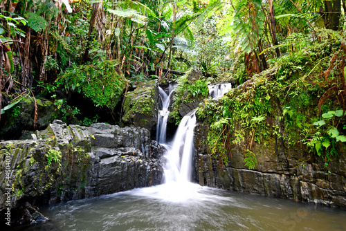 Fototapeta Naklejka Na Ścianę i Meble -  Waterfall hidden in El Yunque Rainforest on the island of Puerto Rico, the only tropical rain forest in the United States National Forest System