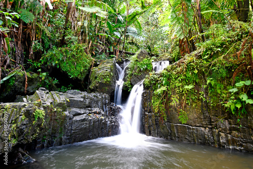 Waterfall hidden in El Yunque Rainforest on the island of Puerto Rico, the only tropical rain forest in the United States National Forest System photo