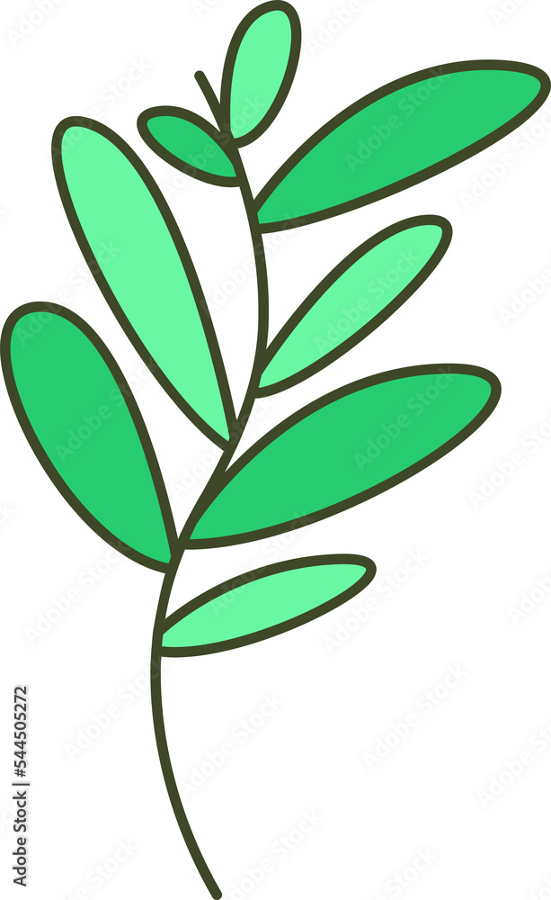 decorative leaves illustration