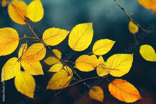 Frosted trees with yellow leaves on the shore of lake. Macro image, shallow depth of field. Autumn nature background