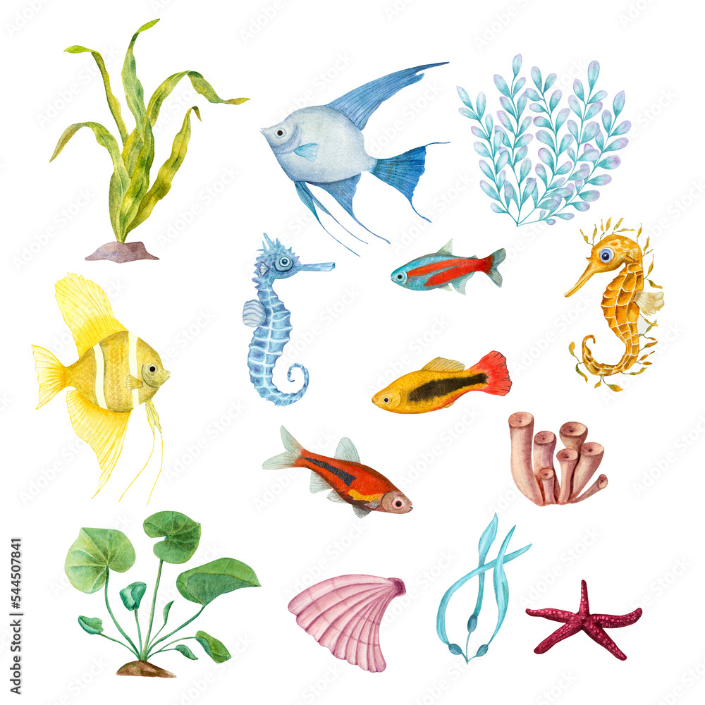 Watercolor illustration of a set of marine fauna isolated on white background. Angelfish, starfish, shells, corals, seahorse, seaweed, plants, water, sea, ocean. Print design poster fabric decoration Watercolor illustration of a set of marine fauna isolated on white background. Angelfish, starfish, shells, corals, seahorse, seaweed, plants, water, sea, ocean. Print design poster fabric decoration