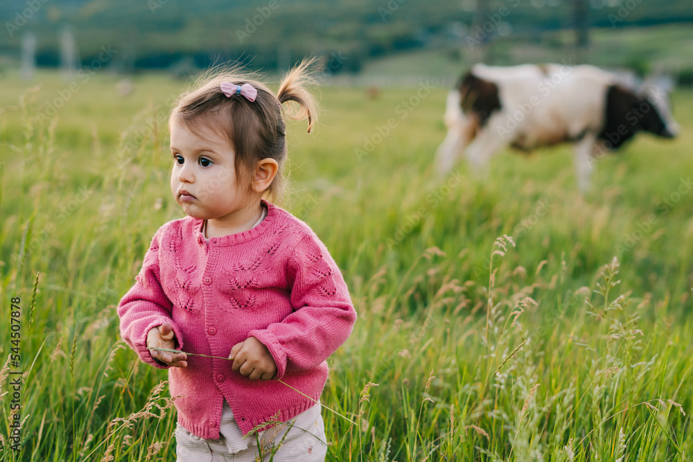 A little girl looking at cows in a field on a cool summer evening. A little girl looking at cows in a field on a cool summer evening.