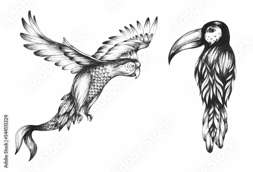 Beautiful stock hand drawn clip art illustration with unusual chimera toucan and parrot birds.