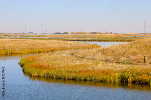 Wetlands fall landscape in the Canadian Prairies, Calgary, Alberta