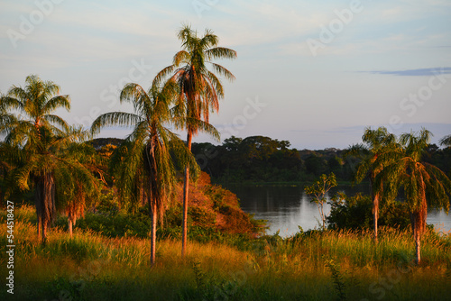 Sunset on the banks of the Guaporé-Itenez river from the ruins of the Forte Príncipe da Beira fort, near Costa Marques, Rondonia state, Brazil, on the border with the Beni Department, Bolivia photo