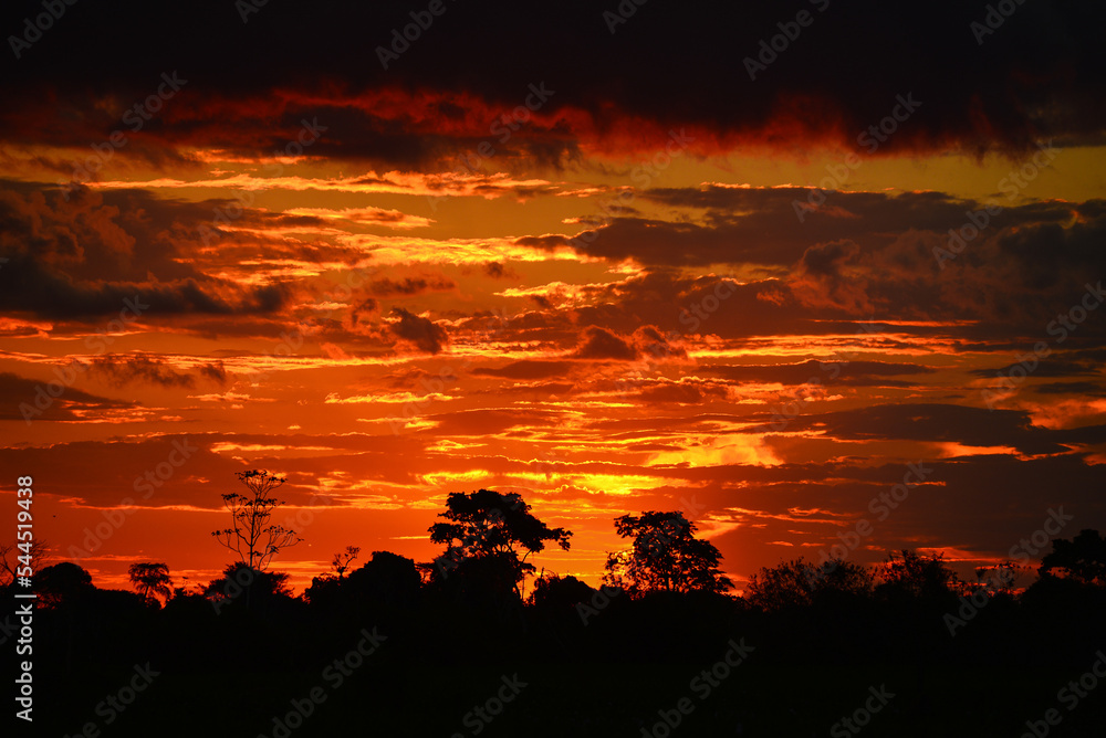 Dramatic sunset on the wetlands of the Guaporé - Itenez river, near the remote village of Remanso, Beni Department, Bolivia, on the border with Rondonia state, Brazil Dramatic sunset on the wetlands of the Guaporé - Itenez river, near the remote village of Remanso, Beni Department, Bolivia, on the border with Rondonia state, Brazil