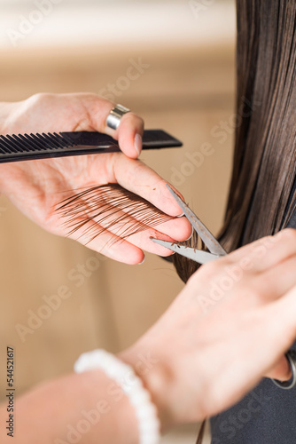 The hairdresser holds a section of the client's straight hair and cuts it. The concept of a beauty salon