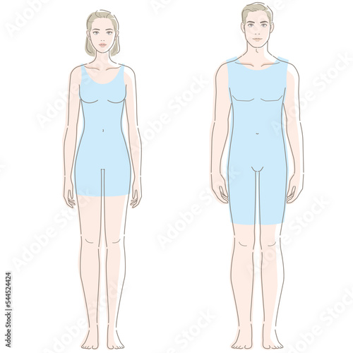 Female and male whole bodies. Vector illustration in line drawing, isolated on white background.