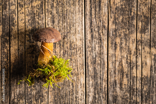 Autumn mushroom boletus on wooden table. Top view.