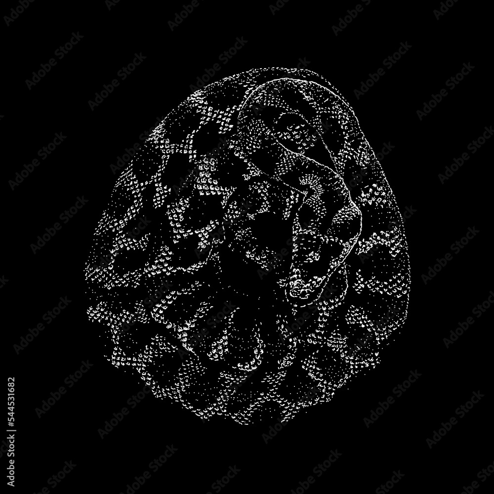 Jungle Carpet Python hand drawing vector isolated on black background ...