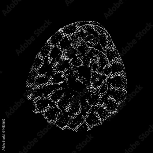 Jungle Carpet Python hand drawing vector isolated on black background. photo