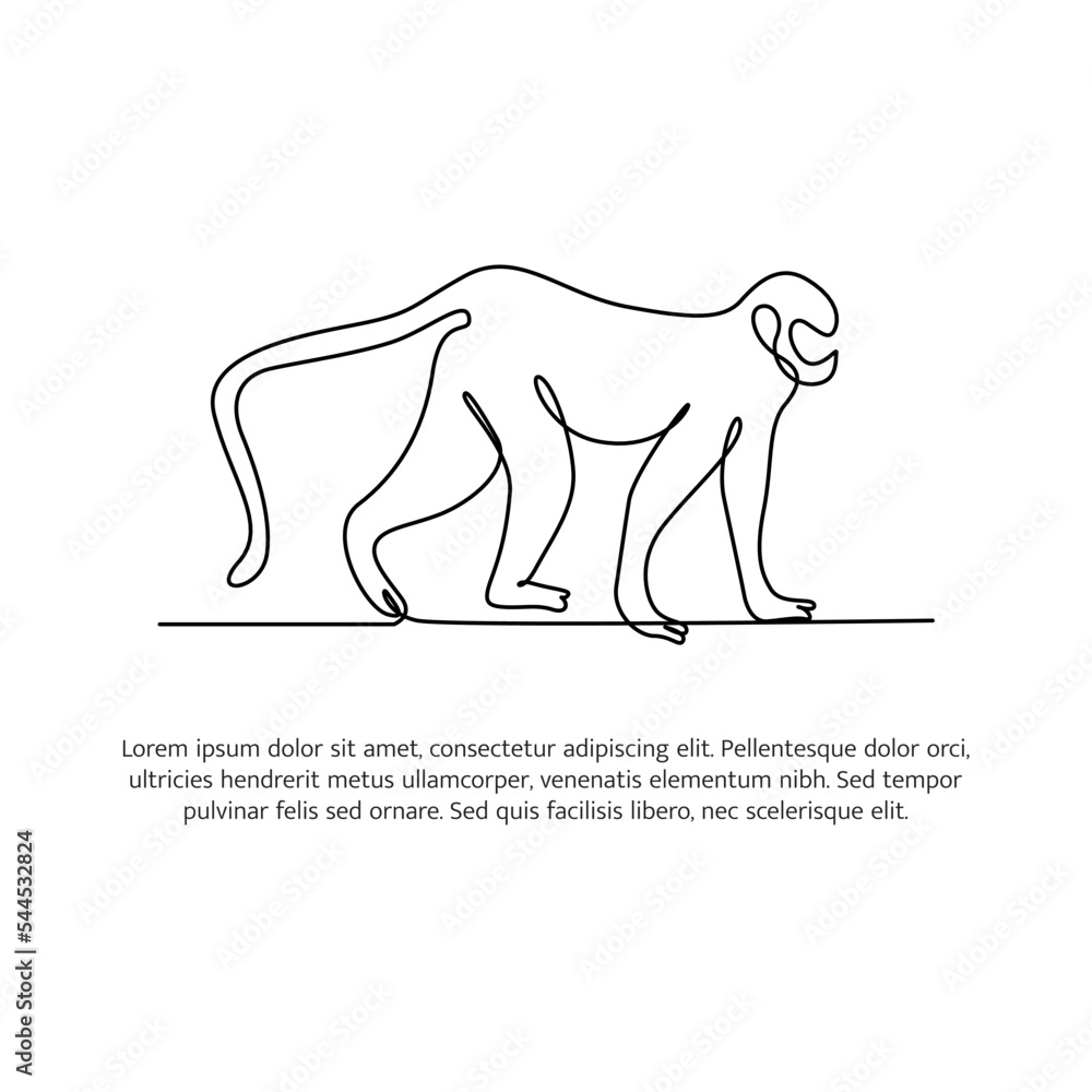 Monkey line design. Wildlife decorative elements drawn with one continuous line. Vector illustration of minimalist style on white background.