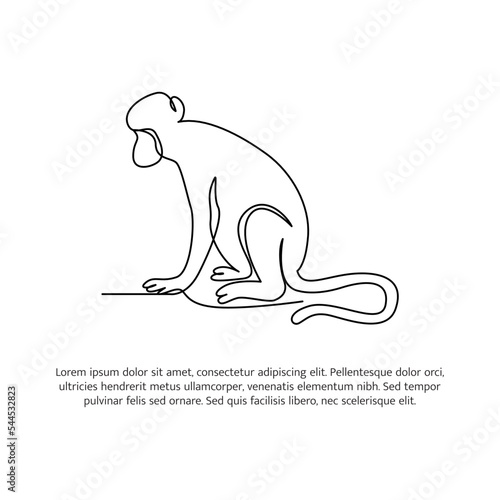 Monkey line design. Wildlife decorative elements drawn with one continuous line. Vector illustration of minimalist style on white background.