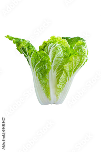 fresh chinese cabbage on a white background
