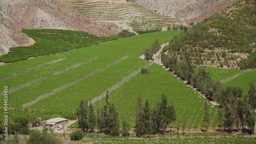 Vineyards In Plains And Steep Hillside In Elqui Valley, Coquimbo Region, Chile. - Drone Tilted Up photo